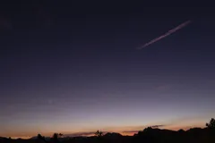 Night Sky at Joshua Tree National Park, California
