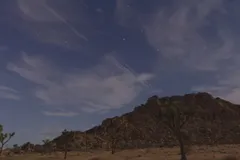 Night Sky at Joshua Tree National Park, California