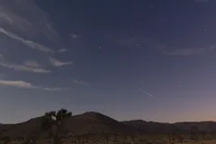 Night Sky at Joshua Tree National Park, California