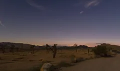 Night Sky at Joshua Tree National Park, California
