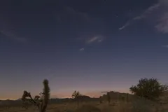 Night Sky at Joshua Tree National Park, California