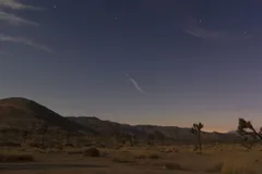 Night Sky at Joshua Tree National Park, California