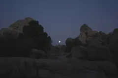 Night Sky at Joshua Tree National Park, California