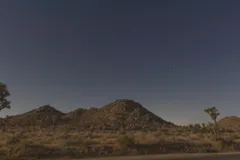 Night Sky at Joshua Tree National Park, California